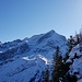 Alpspitze gesehen