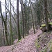 Abstieg vom Rotenstein in das Kaltenbachtal.