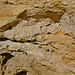Das erosionsanfällige Gestein in der Höhle ist von Löchern und Spalten durchzogen...