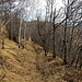 L'inizio del sentiero che scende in Val Castellera.