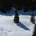 Winterlandschaft bei der Alpe Alp