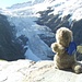Murmel schaut auf den Grindelwaldgletscher