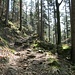 Aufstieg auf schönem Pfad Richtung Gfällfelsen.