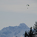 Paraglider über dem Widderstein