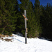 Kreuz am Bildstöckle, der höchste Punkt liegt etwas oberhalb versteckt im Wald