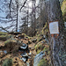 Descente par Teiffine (vue arrière).<br /><br />L'affiche informe que des photos sont effectuées automatiquement pour détecter la présence du loup. 