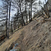Ancien sentier Bad-Ober Riedflüe (vue arrière).