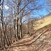 <b>Da questo panoramico promontorio il percorso fino al Passo Bonello oggi è asciutto e libero sia di rami che di foglie secche. È un piacere percorrerlo senza dover aggirare tronchi caduti o pozze fangose. </b>