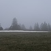 Auf dem Weg zu La Tormande. 