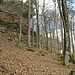 Der Ruppertsfelsen bzw. Ruppertstein ist erreicht. Auf dem von hier aus gesehen hinteren Felsen stand einst eine Burg.