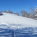 Ruhigere Variante beim Aufstieg von Mittelberg zum Höhenzug
