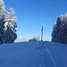 Der bewaldete Gipfel