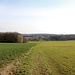 Talwanne des Dohmaer Wassers