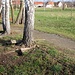 Bahntrasse mit Gleisrest