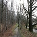 Bahntrasse
