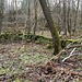 Gebäuderest im Steinbruch