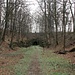 Bahntrasse Richtung Lohmgrund