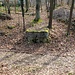 Zweiggleistrasse der Firmen Hüniche und Sächsische Sandsteinwerke Rottwerndorf AG mit Fundament einer Feldbahn-Wippbrücke