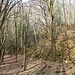 Haldenschüttung quer zum Tal
