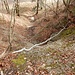 Nagelfluehwand oberhalb des zweiten Weges