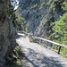 Good solid walk path