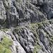 Here we go - fantastic path!