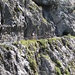Winding road