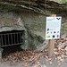 Fledermausinformation bei den Sandsteinhöhlen am Steinerweg.