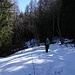 Schneeige Passage im Boduwald