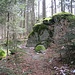 Ein kleiner Felsen am Wegesrand oberhalb von Hohritt. Leider ist dies der einzige Felsen auf der heutigen Tour, aber ...