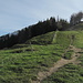 Schnebelhorn downhill