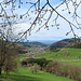 Hier werden wir vom Wald in die Wiesenlandschaft entlassen