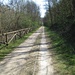 E infine da Castiglione Olona ho ripreso la pista ciclabile lungo il Fiume Olona.