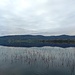 lago di Comabbio e Molte Pelada