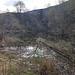 Alte Kiesgrube Feerbach, heute ein Amphibienschutzgebiet der Pro Natura 