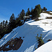 eine grössere Schneewechte auf dem Weg zum Spitzli