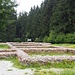 Kastell Kleiner Feldberg