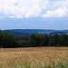 NSG Reifenberger Wiesen