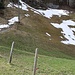 Mi avril, 850m d'altitude, la neige commence déjà...rude pays ! 