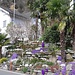 Tessin ? Non, Uri ! 