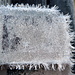 Frostnadeln am Lesezeichen eines blechernen Botaniklexikons