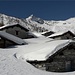Morone