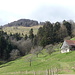 à l'entrée du massif du Petit ballon ;