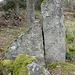 Comme un Menhir .