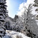 Sulla strada