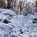 All'ombra la neve resiste, per ora...