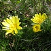 Am Wegrand