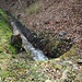 Entlang dem Canal du Guercet führt der Weg talaufwärts