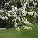 Vorbei an schönen Blüten