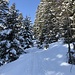 Aufstieg nach Erbs durch den verschneiten Wald